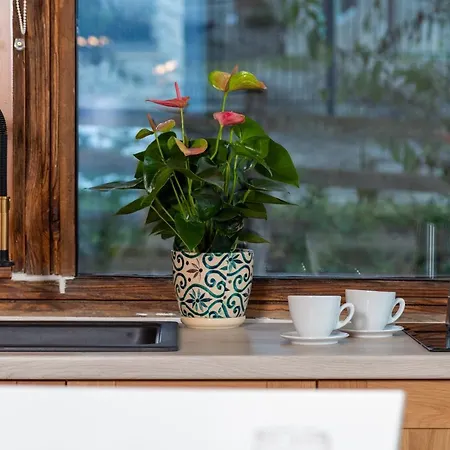 Casele Cu Stuf Haus Ulrike Apartment Salicea