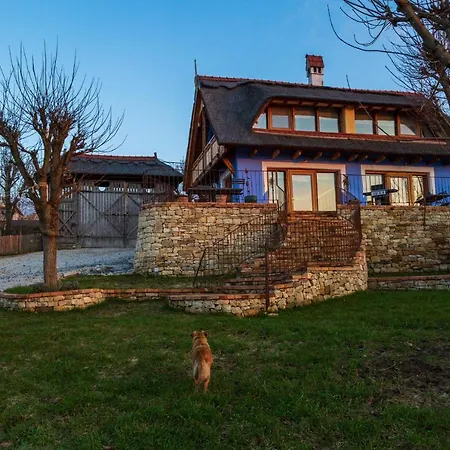 Casele Cu Stuf Haus Ulrike *