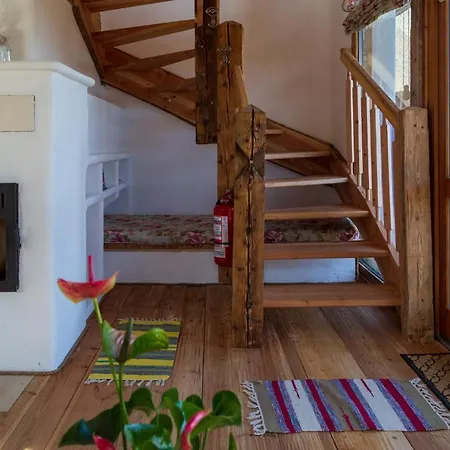 Apartment Casele Cu Stuf Haus Ulrike Salicea