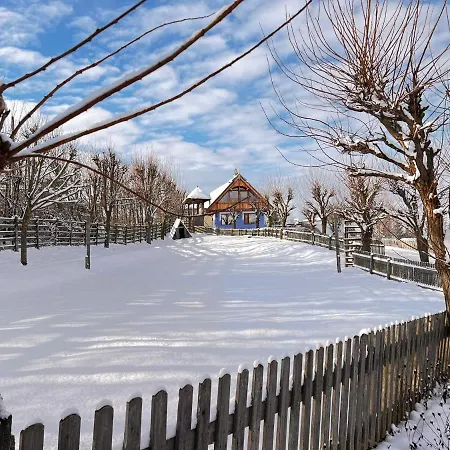 Casele Cu Stuf Haus Ulrike Apartment