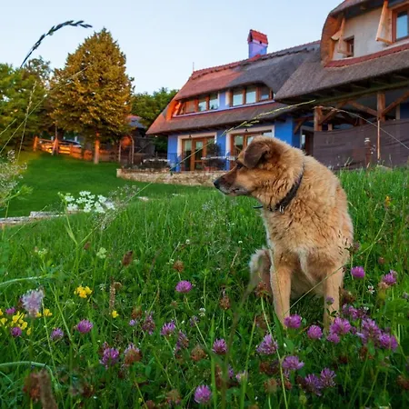 Casele Cu Stuf Haus Ulrike * Salicea