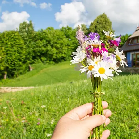 Casele Cu Stuf Haus Ulrike Apartment Salicea