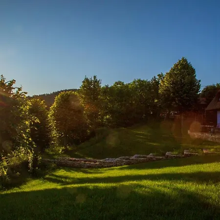 Casele Cu Stuf Haus Ulrike Apartment Salicea